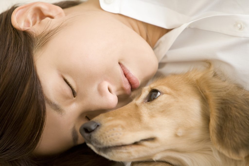 大型犬が飼育できる賃貸マンションの探し方から注意点まで完全網羅 防音賃貸エンターテイメントマンション サウンドプルーフ